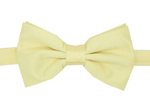 Load image into Gallery viewer, Premium Classic Solid Color Bow Tie - Ferrecci USA