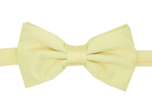 Load image into Gallery viewer, Premium Classic Solid Color Bow Tie - Ferrecci USA 
